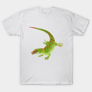 Day Gecko, Colorful Lizard, Gecko Lover Gift T-Shirt